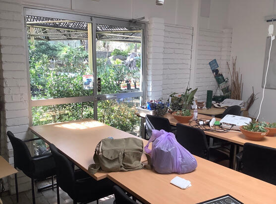 The beautiful classroom I studied in, on the last day.
